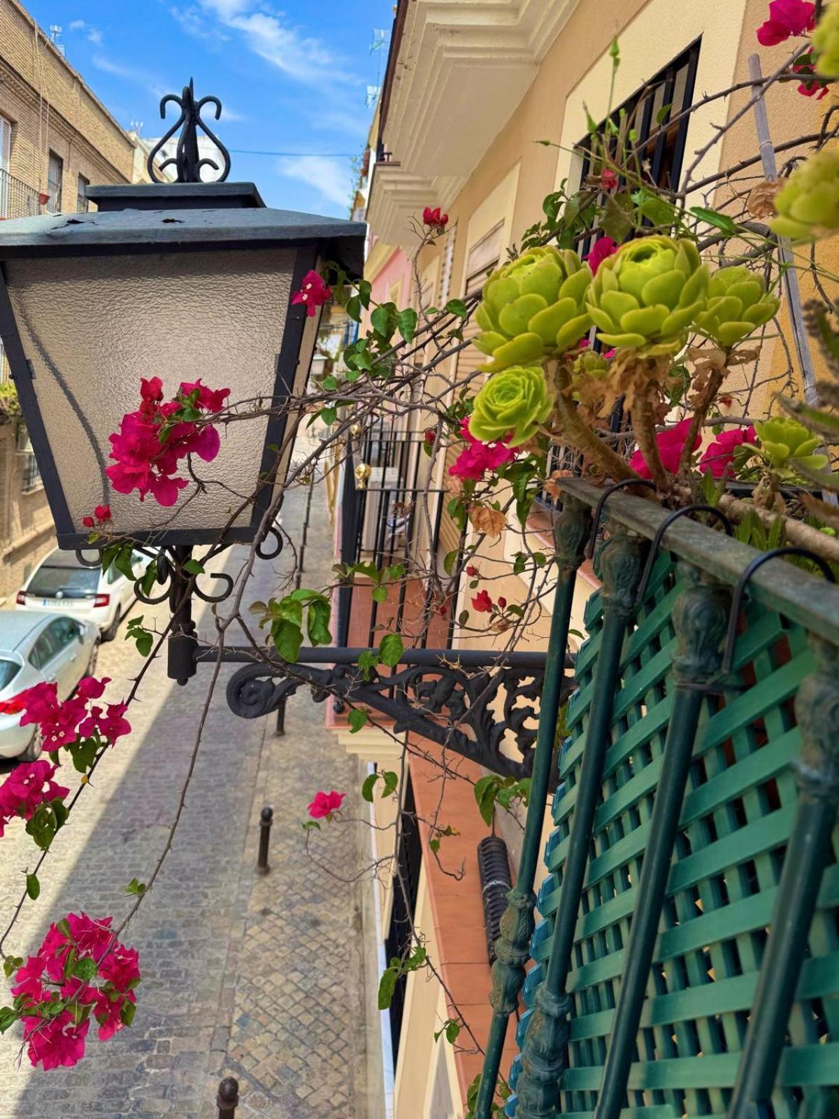 Aires De Triana Apartment *