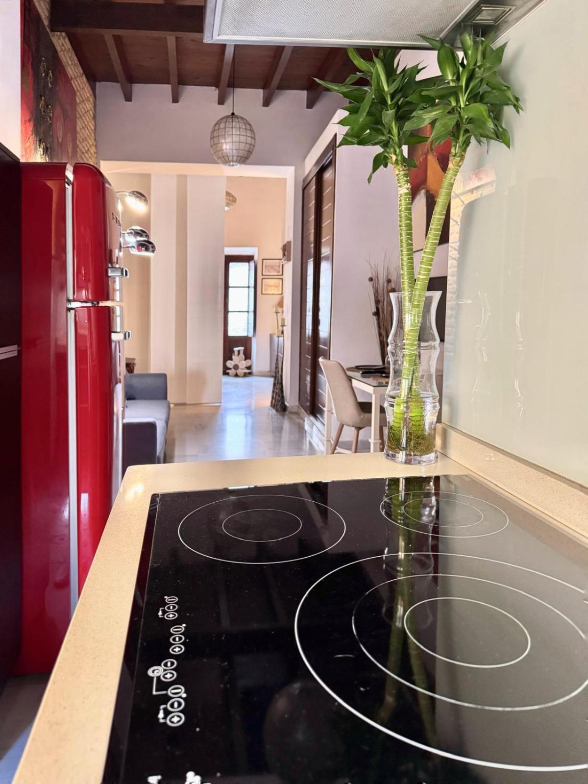 Aires De Triana Apartment Sevilla